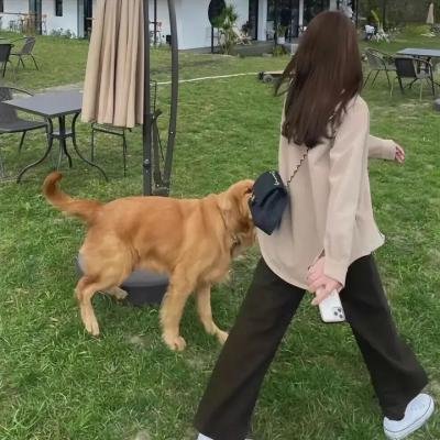 狂人日记